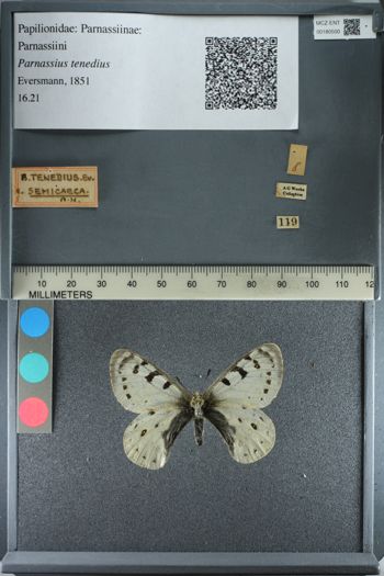 Media type: image;   Entomology 180500